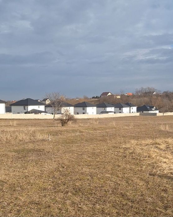 Teren Lisaura - Ipotesti 720 mp2