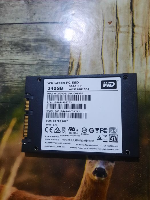 ssd wd green 240gb