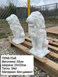 Градински лъвчета