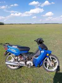 Scuter 125cc de camp