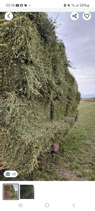 Porumb , grau , baloti fan , baloti lucerna 1