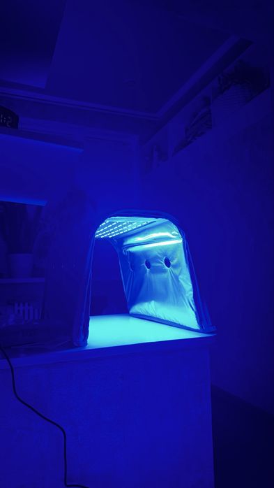 Фотолампа от желтушки