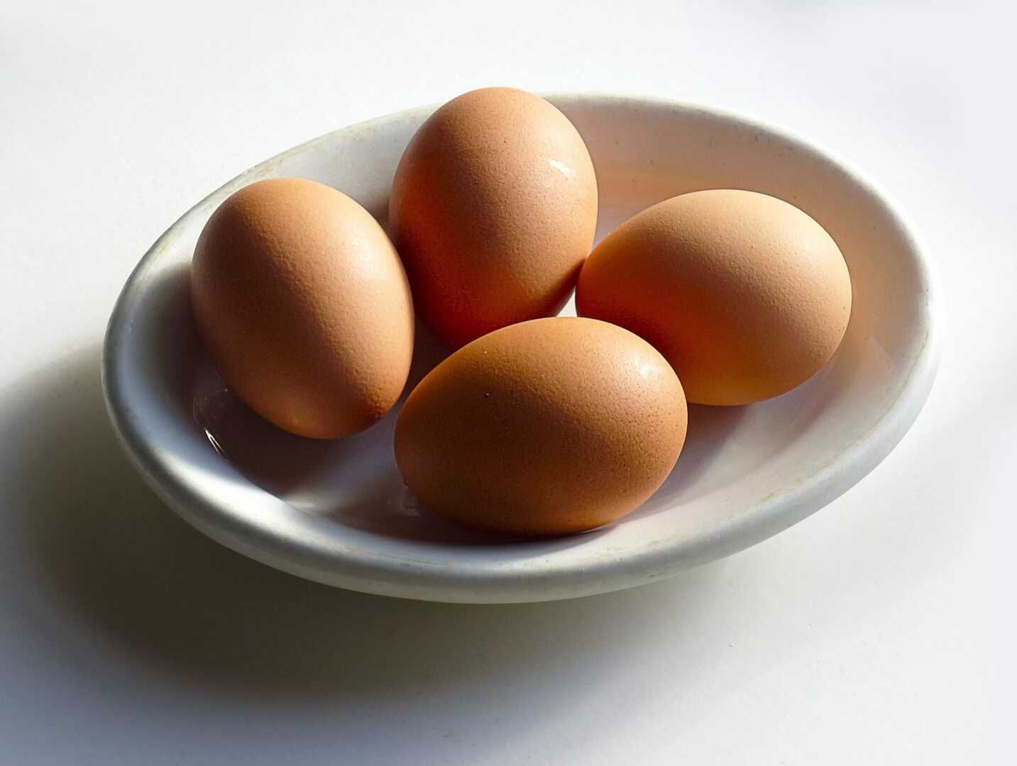 Яйца домашние вкусные от домашних кур породы Брама