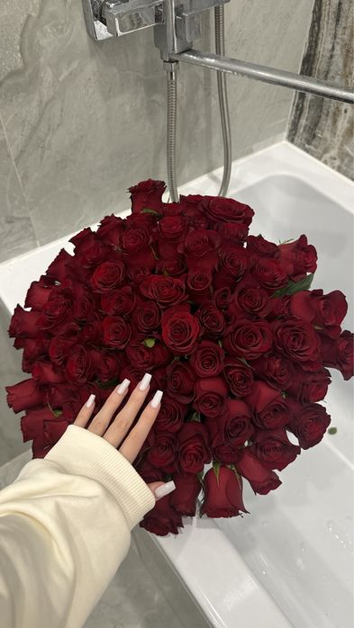 Продаю букет красных роз, 101 роза, очень свежие, сегодняшние,