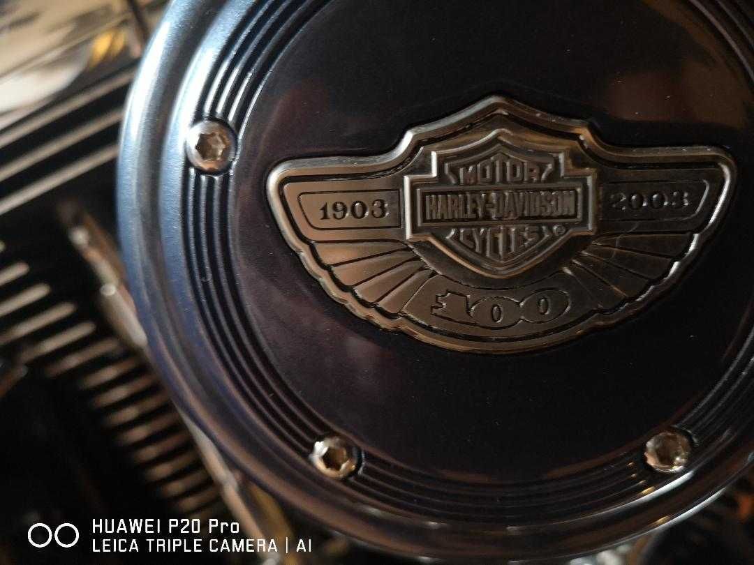 Vand Harley Davidson,Softail Springer, 100th Anniversary