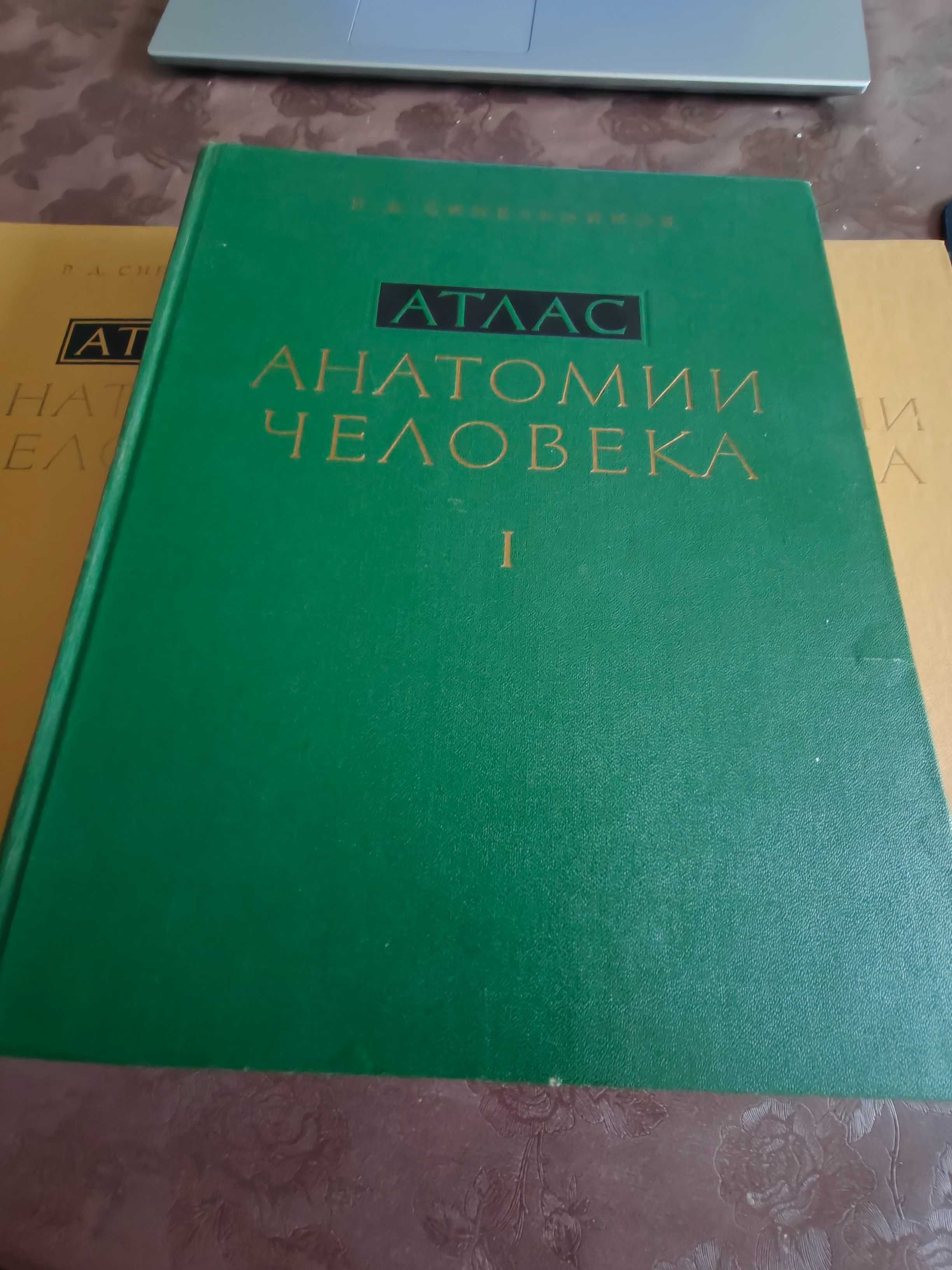 Атласи по анатомия на човека Синелников