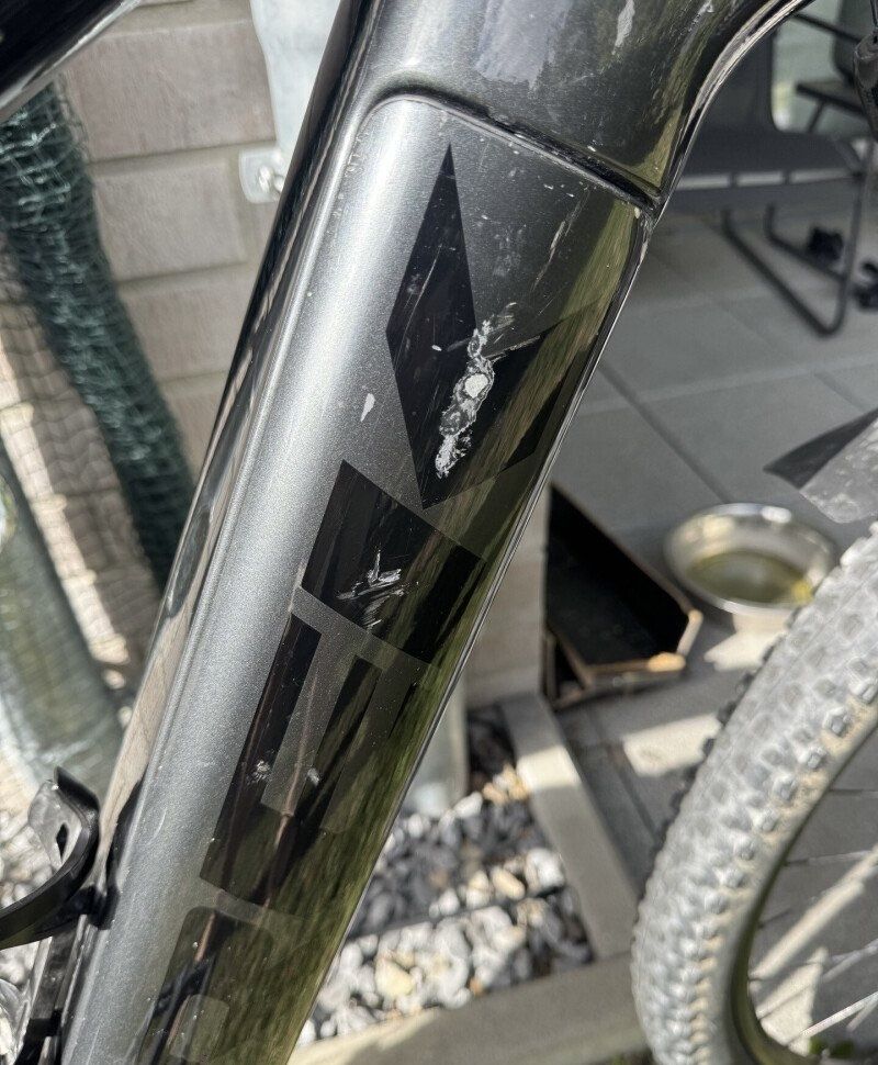Trek Powerfly 4 2021 EBike