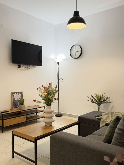 IS Regim Hotelier - Luxury Glam Apartments Palas Centru Lazar Newton