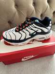 Nike air max plus