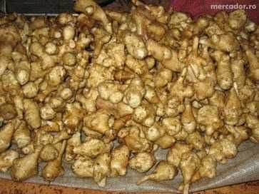 Vind cartofii proaspeti topinambur pentru diabet. Județul Cluj