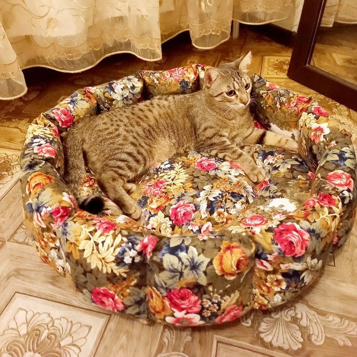 Лежанки для кошек и маленьких пород собак