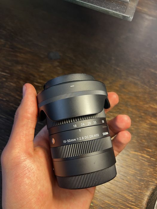 Sony a6600 и Sigma 18-50 f/ 2,8