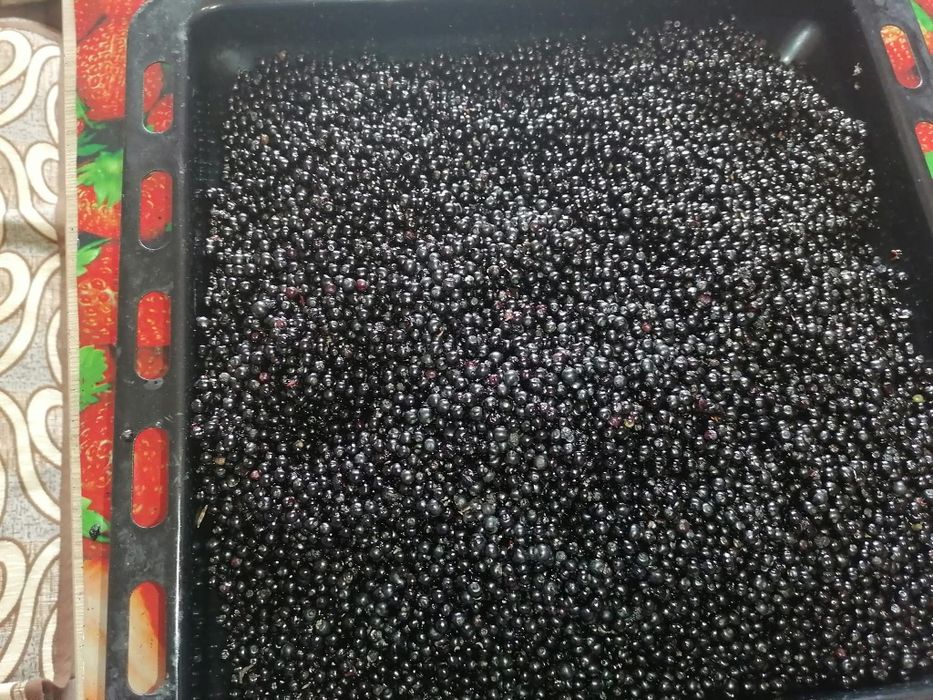 Сироп от бъзак по рецептата на Петър Димков