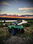 Arctic Cat 400 (nu can am, cf moto, linhai)