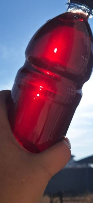 Напиток  для иммунитета