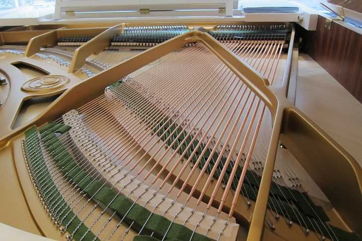 НОВ европейски роял W.HOFFMANN - T177 + C.Bechstein Connect