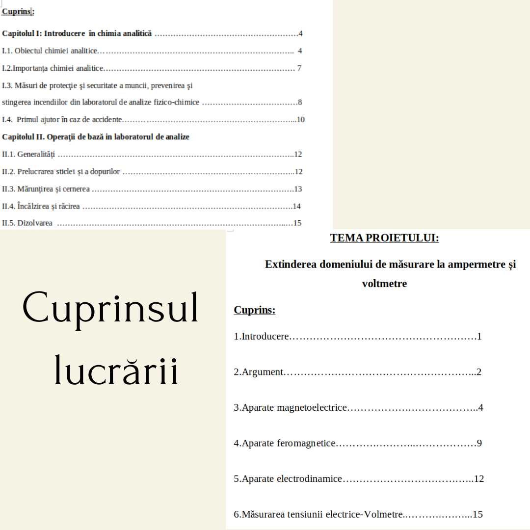 Atestat pentru liceu - orice tema - predare aceeasi zi