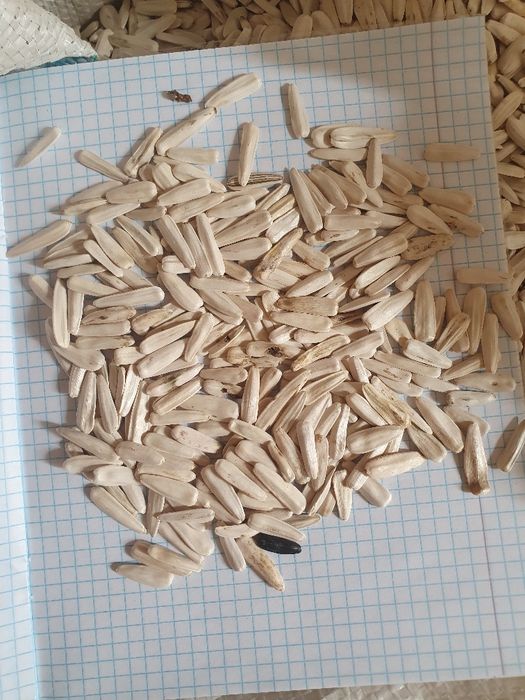 Семечка бор 20 тонна