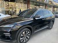 BYD Champion605 сентябрь 2024 год