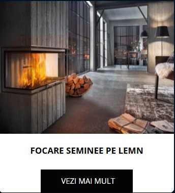 Montaj Seminee de vis Suceava