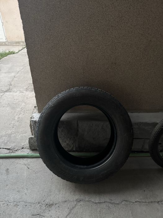 Все сезонные балонны