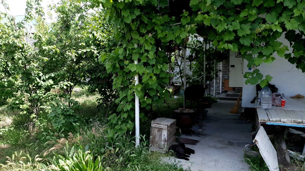 Продаю дачный участок недалеко от парка Янги Узбекистан