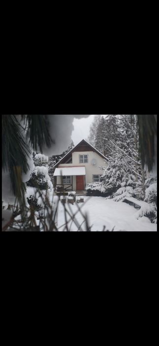 Cabana pentru revelion