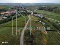 Teren de vanzare in Daia Romana, cu priveliste, parcele de 700 mp