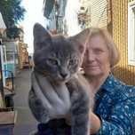 Котёнок (кот)В добрые руки