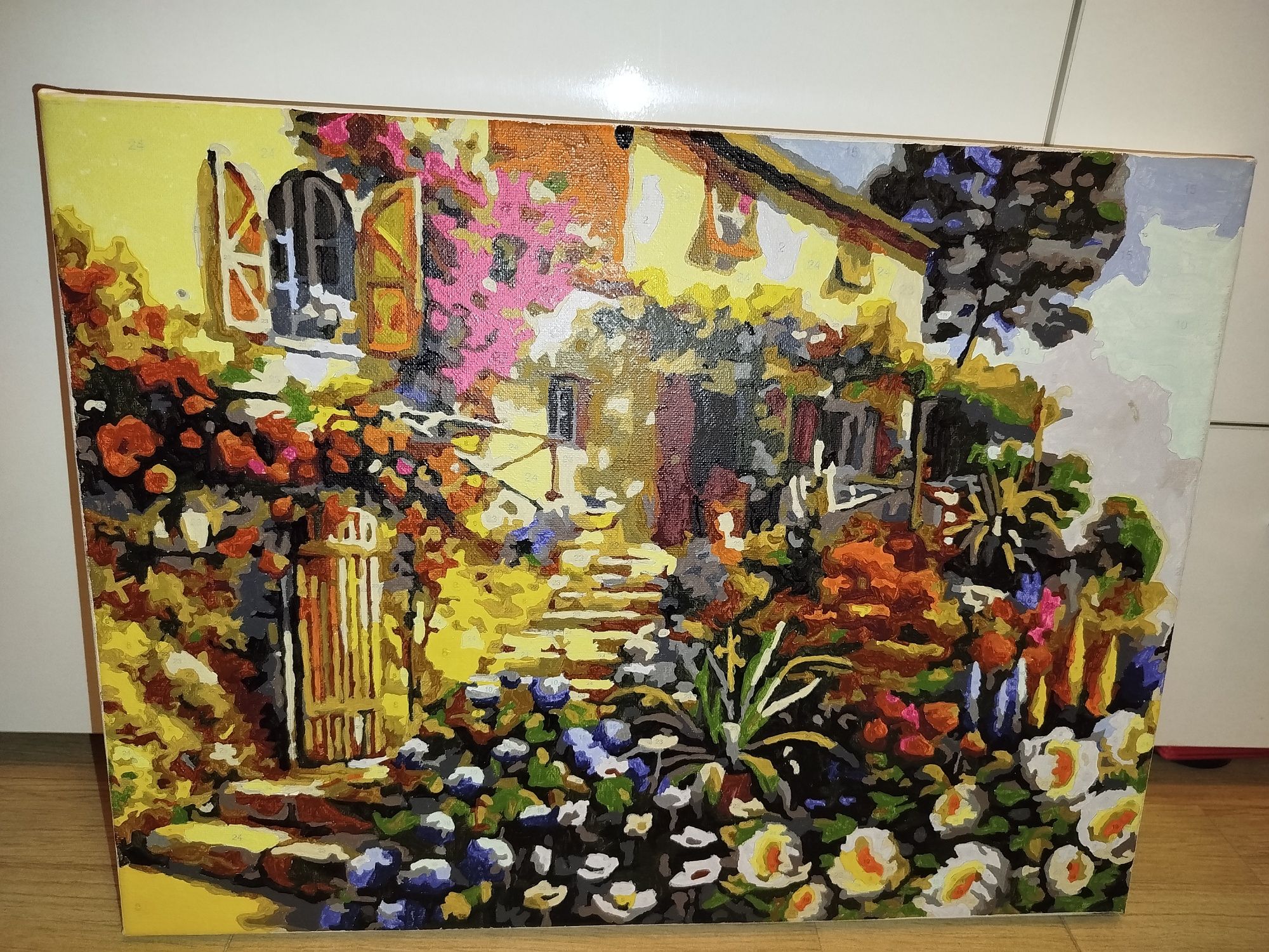 Картини по номера 40/50см НАРИСУВАНИ
