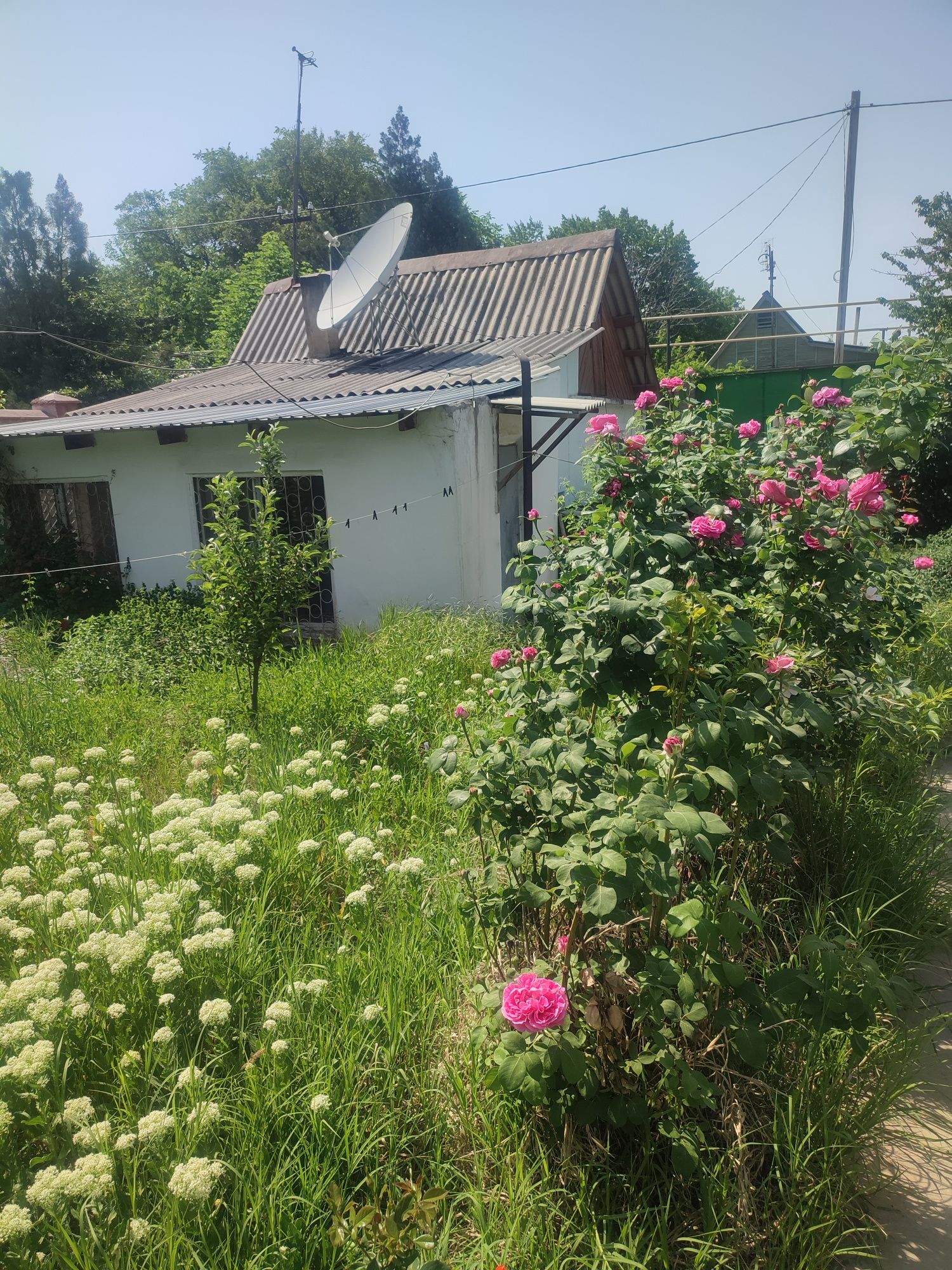 Продается дача кайнар булак