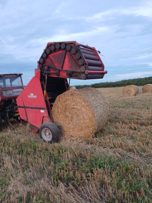 Balotiera rotunda RP15