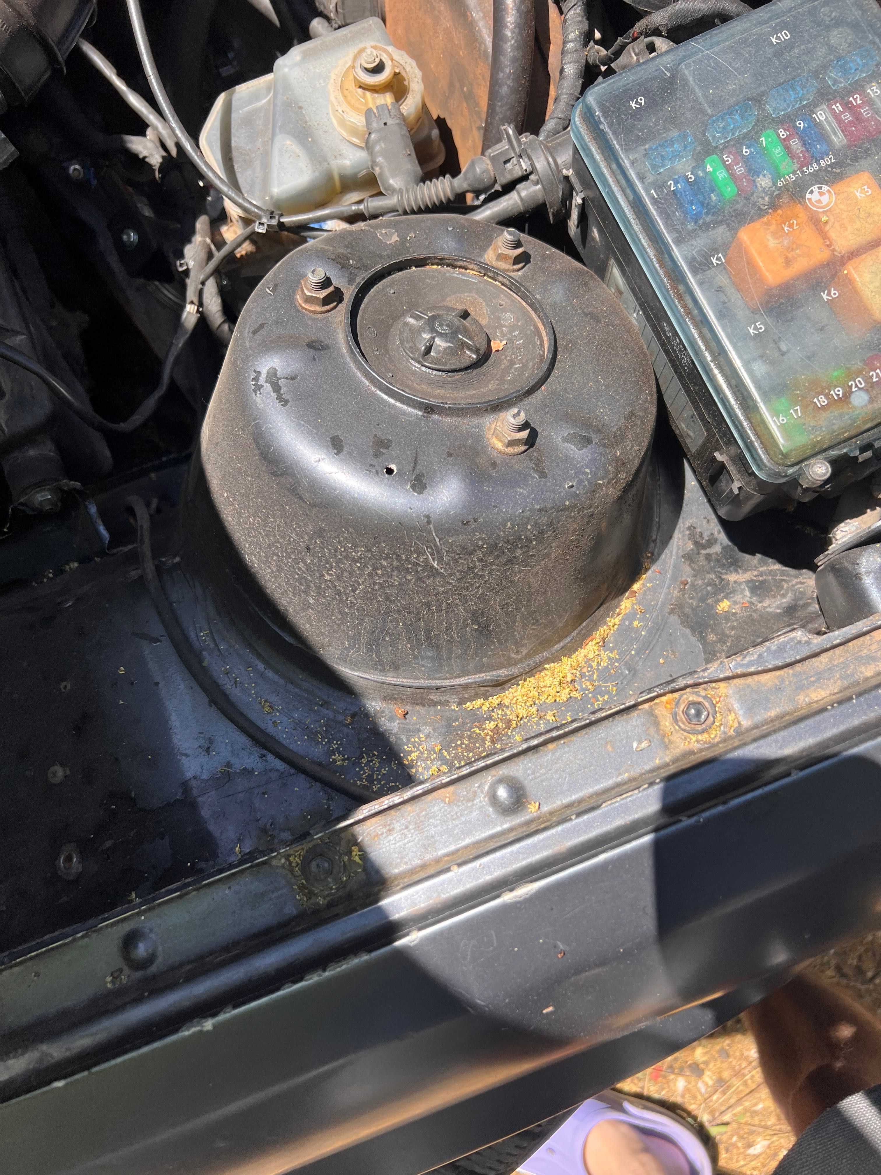 BMW e30 316 + 1.8is