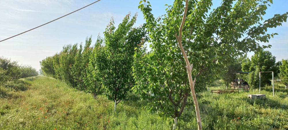 Ищем квартирантов