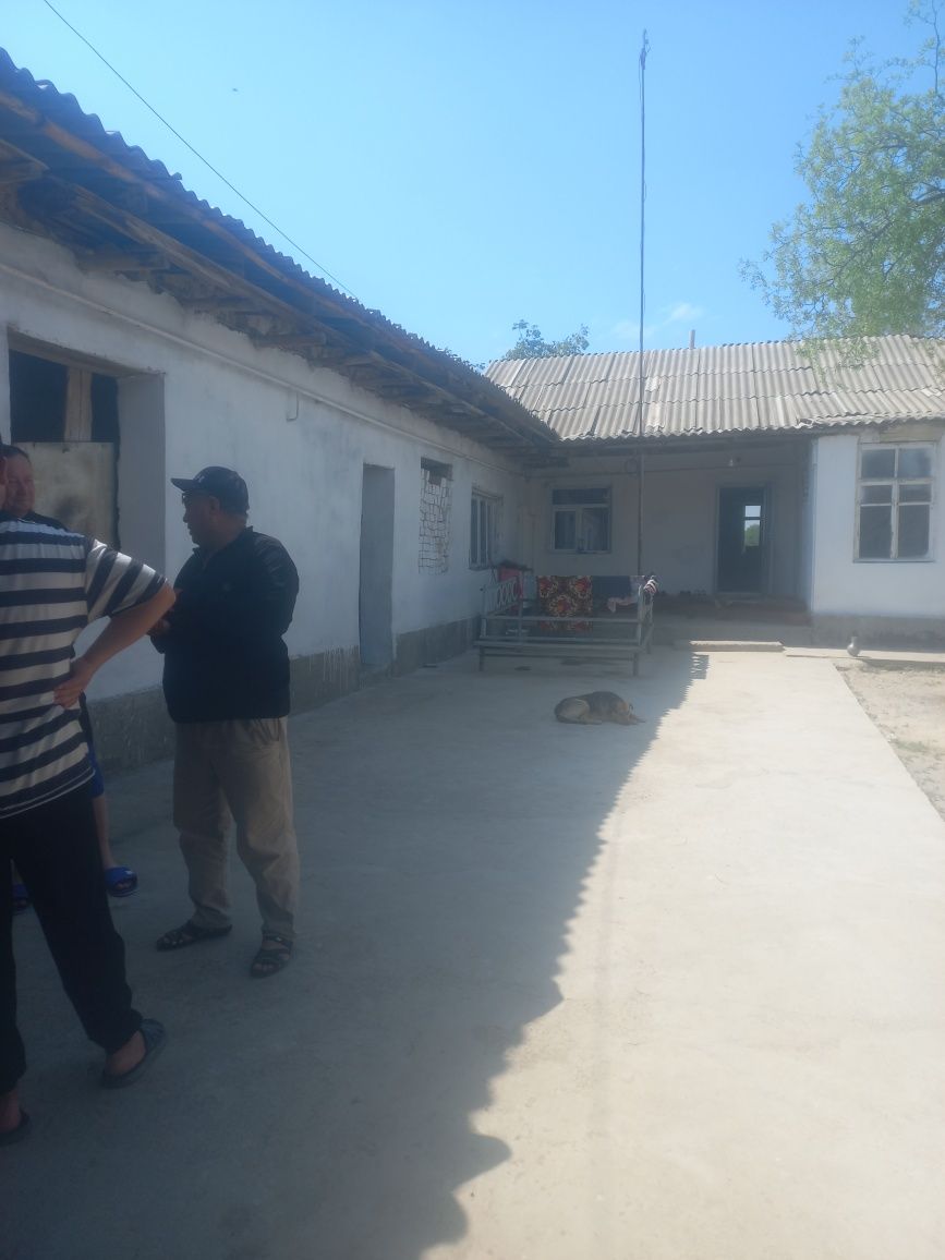 Uysotilad Srochna