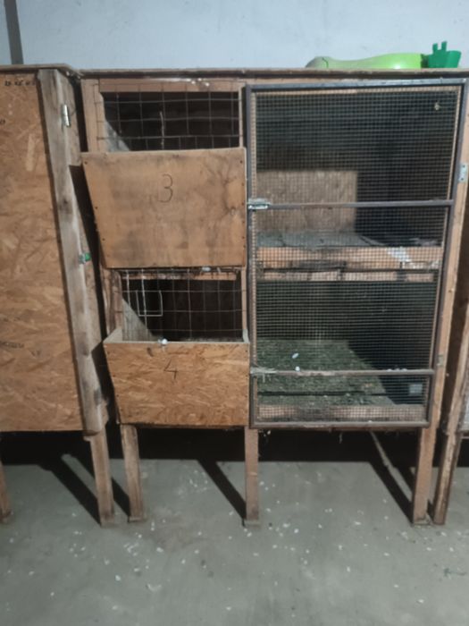 Cuști pentru iepuri