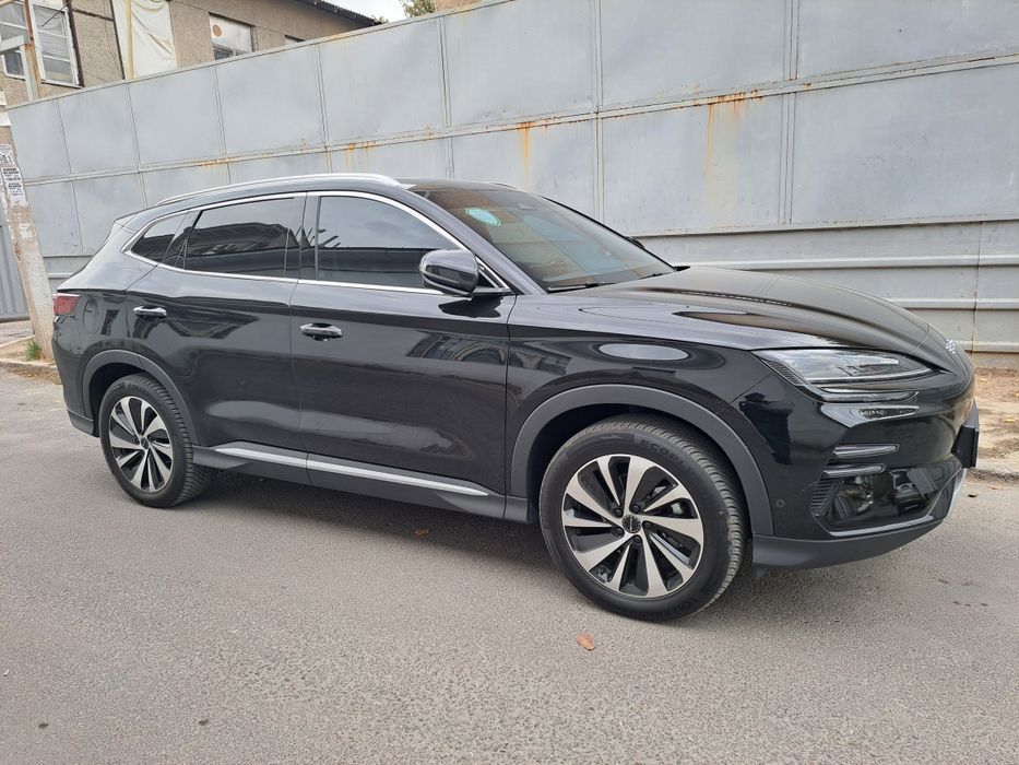 Chinpion   605  talik  flagship