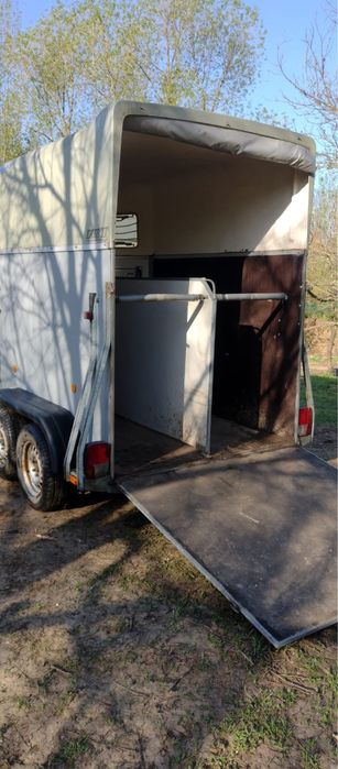 Super ofertă pentru iubitorii de animale!