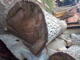 3 бр.орехов дървен материал,Орехов-ствол съхранявано на сухо 3 години