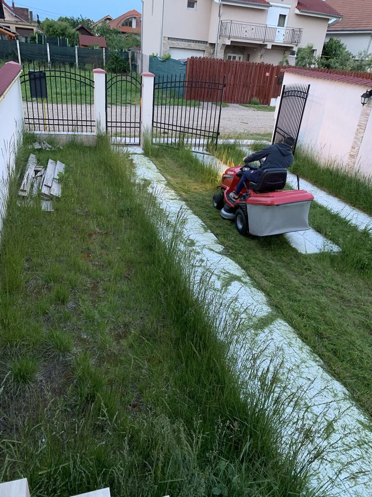 Tund iarba zona Oradea