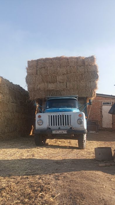 Сабан прес 300₸ бау қамыс 400 ₸