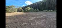 Teren intravilan vatra dornei, Argestru , 1000mp