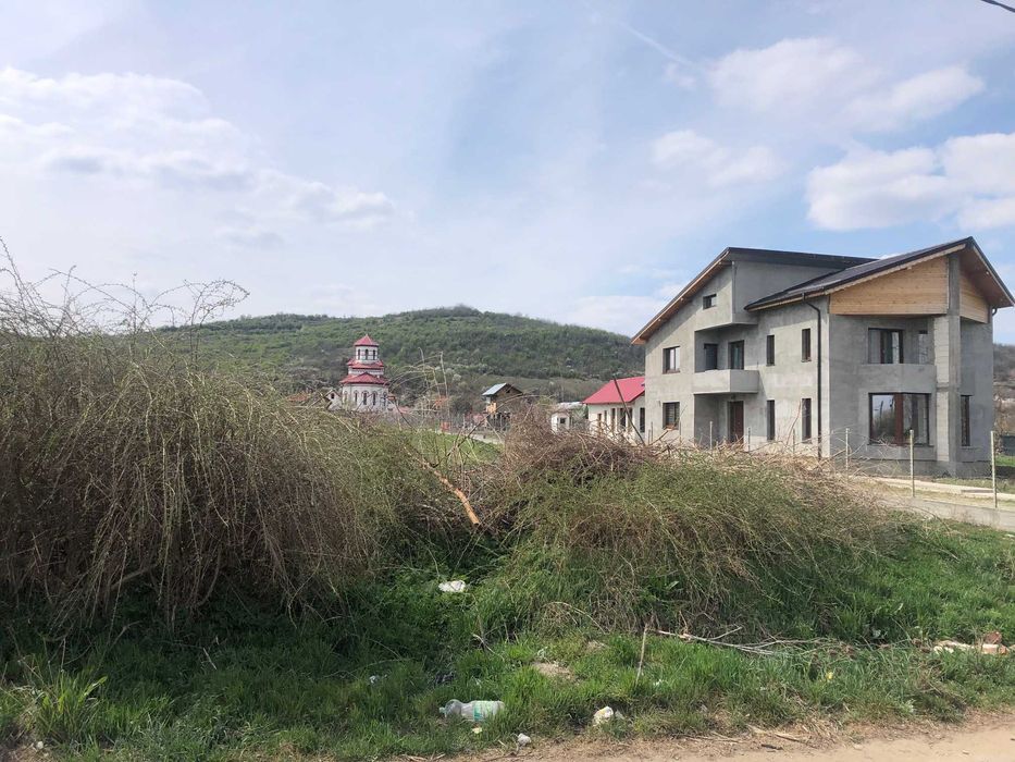 Teren 3000 mp Podari-Livezi