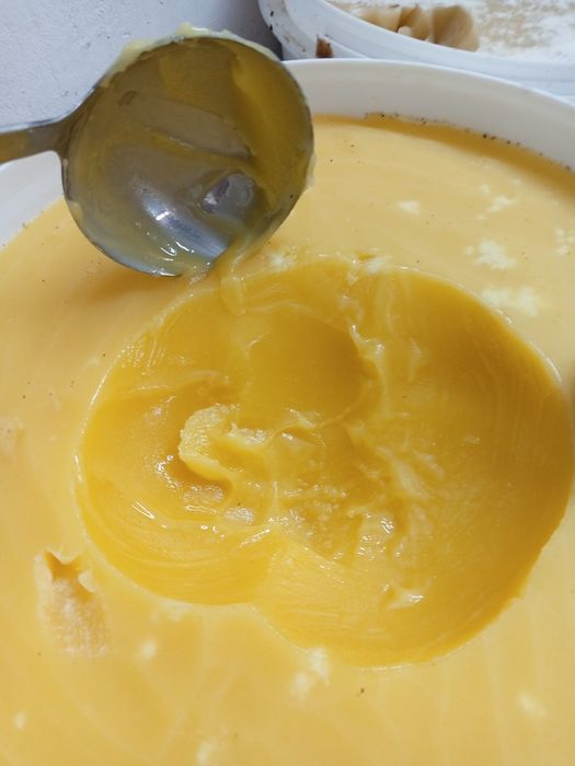 Свежий Катон карагайский натуральный цветочный мёд оптом и в больших о