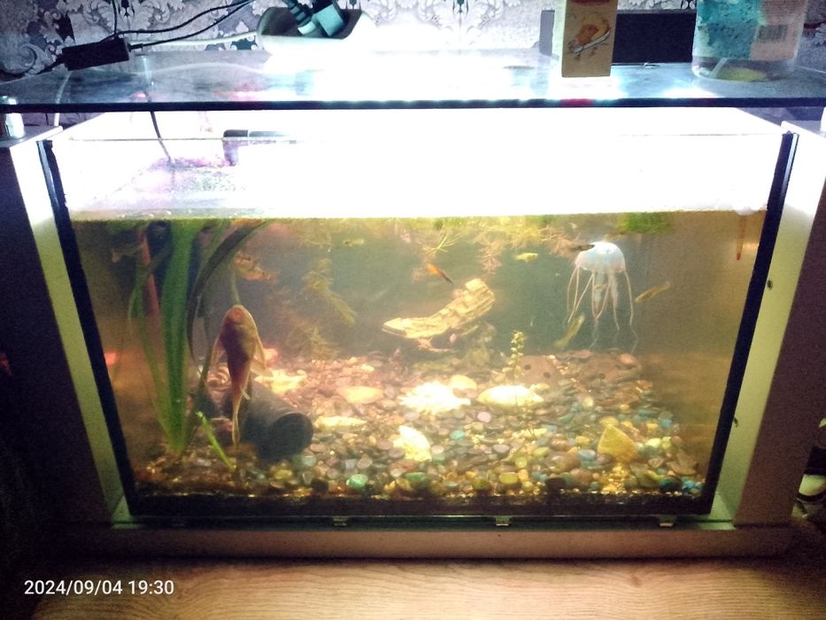 Продам аквариум с рыбками