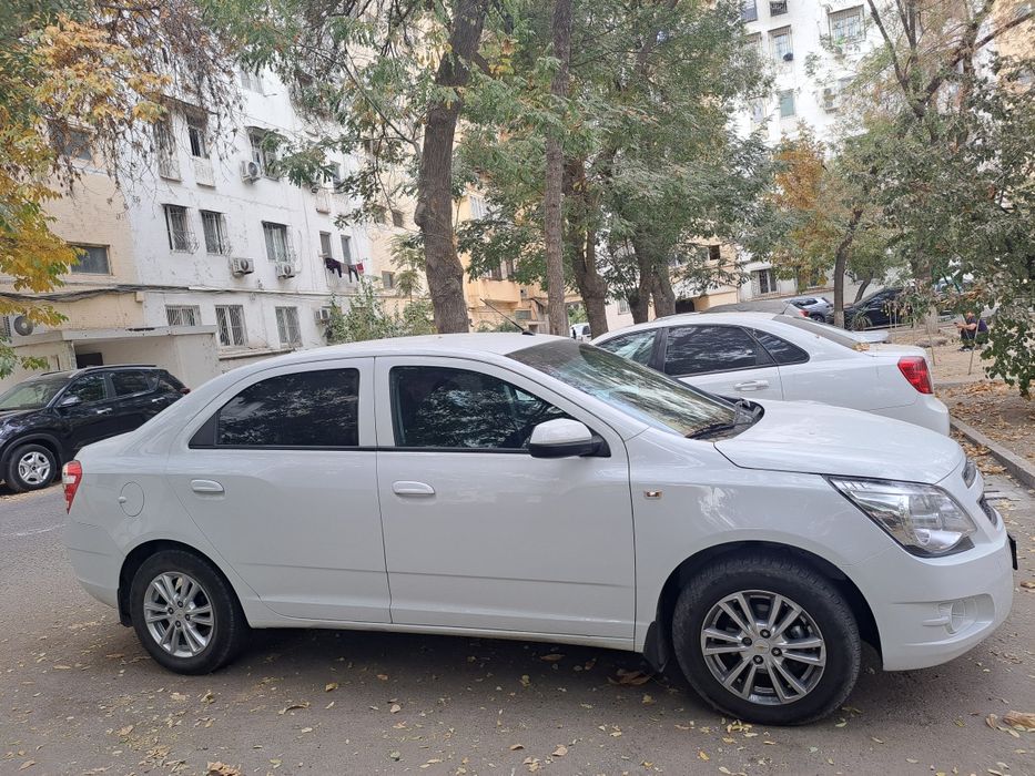 Кобольт 2023 йил 55000 краска тоза сотилади