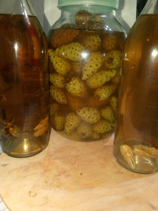 Продам настойку на сосновых шишках