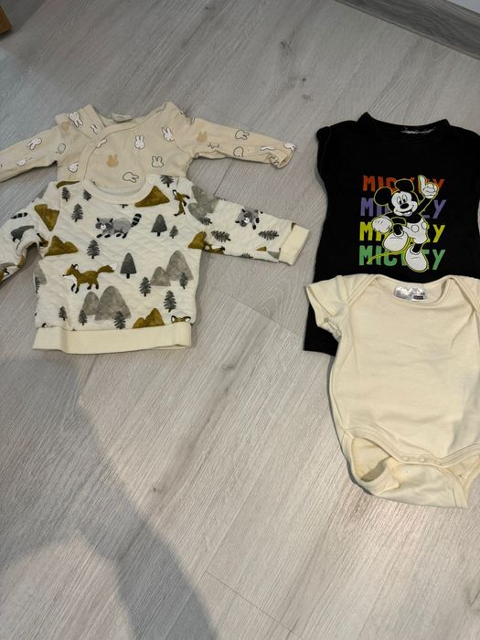 Vand hainute baietel !