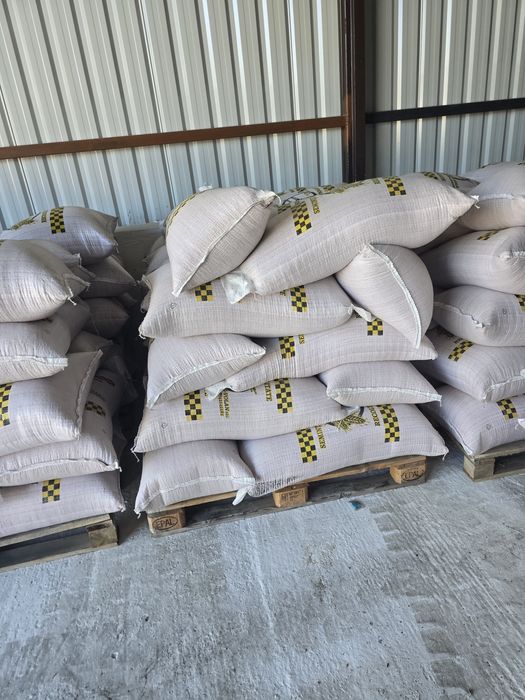 Vând sămânță de  grau