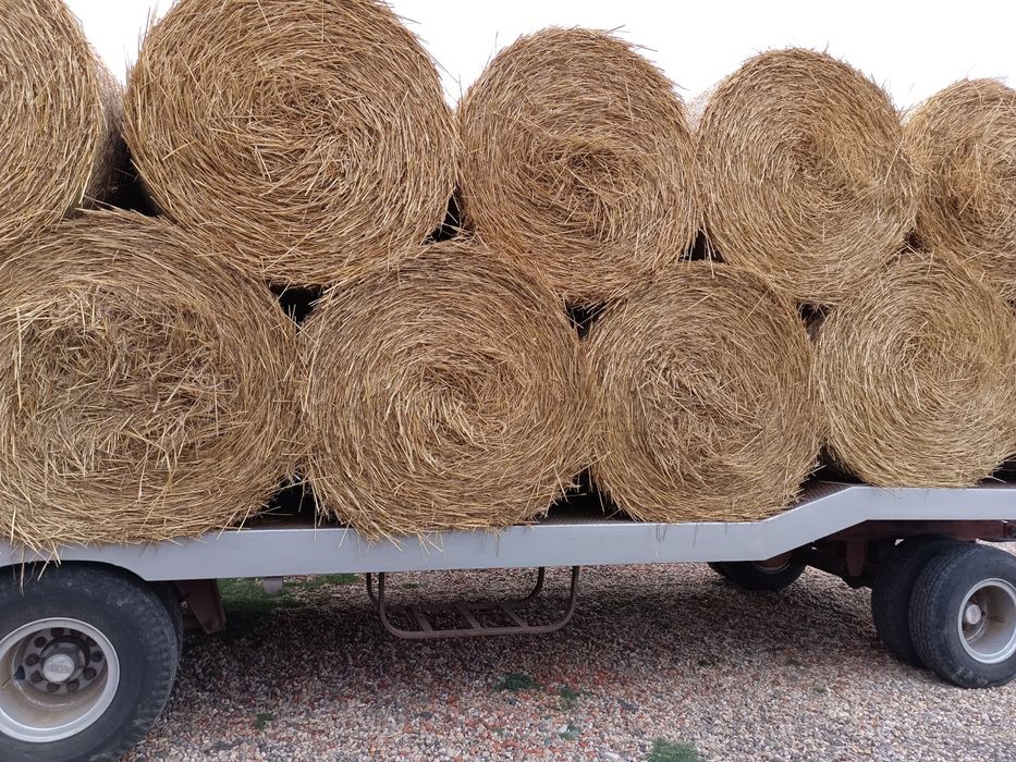 Baloți de tulei, tocătură și de paie